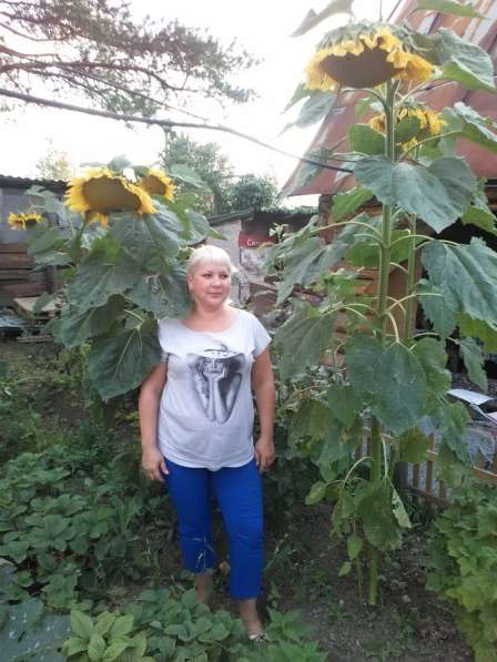 Наталья, 40 лет, хочет познакомиться в Перми