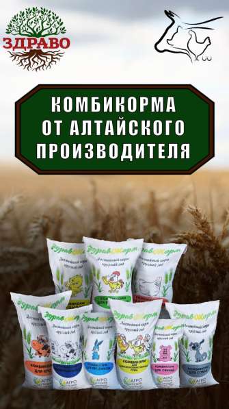 Комбикорм оптом от Алтайского производителя