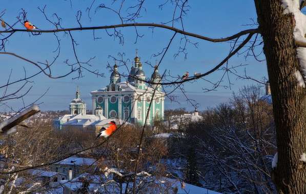 Индивидуальные экскурсии по Смоленску в Смоленске фото 3