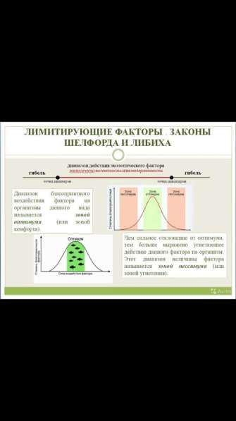 Создание презентаций, брошюр, написание докладов, проектов