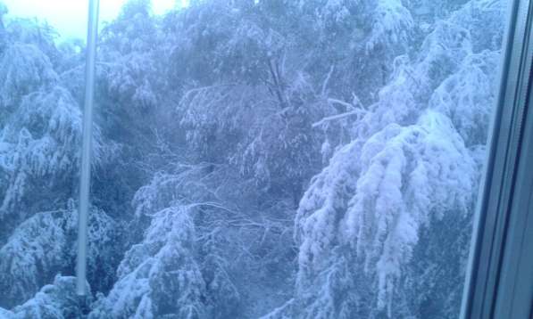 Грузоперевозки в омске в Омске фото 9