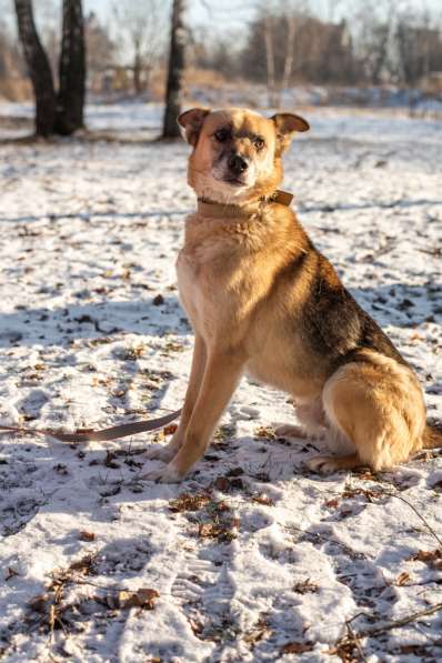 Харизматичный Марк ищет дом в Москве фото 8