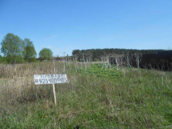 Продается земельный участок 16 соток в деревне Хотилово, Можайский р-он,109 км от МКАД по Минскому шоссе. в Можайске фото 3