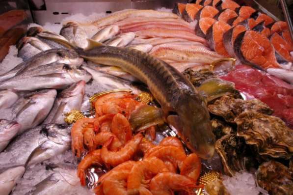 ООО «ИСТА» Торговля оптовая рыбой, ракообразными и моллюскам