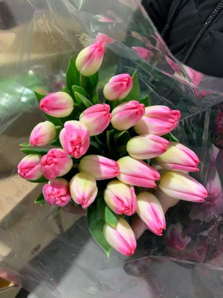 Тюльпаны к 8 марта! в Улан-Удэ фото 5