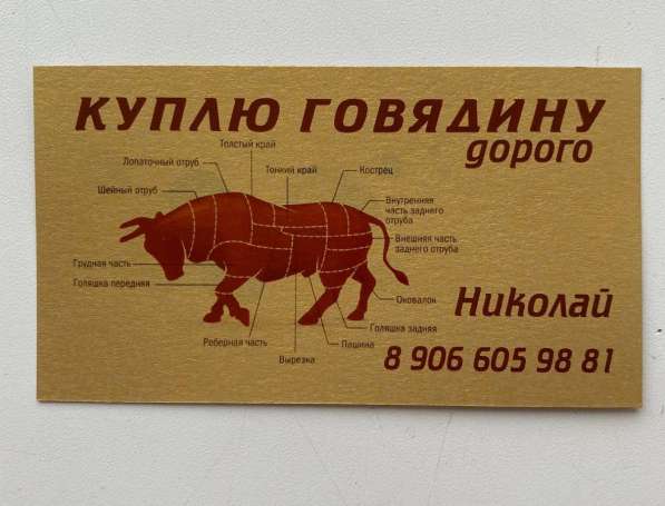 Покупаю говядину, телятину живой вес