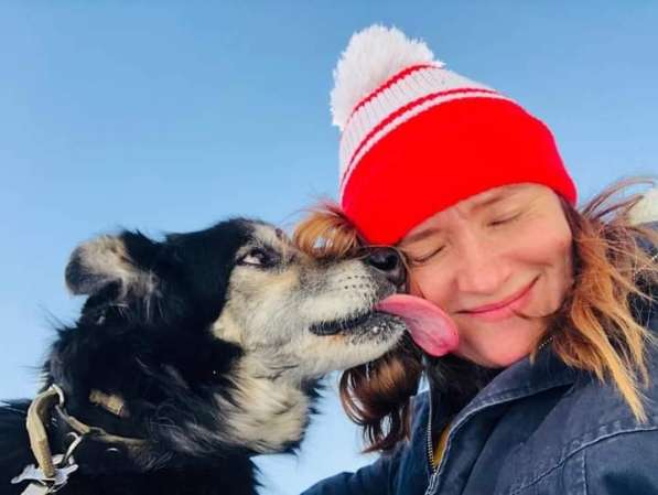 Пушистая весёлая Дакота ищет семью в Москве фото 33