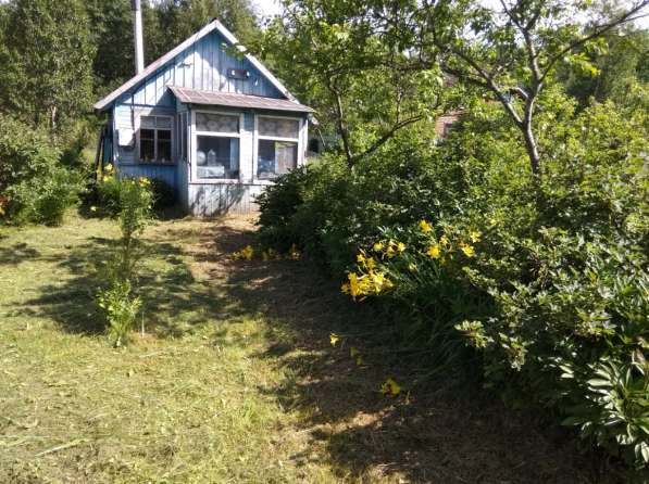 Участок 8 сот. (СНТ, ДНП)