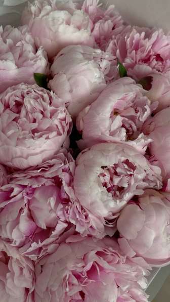 Уборка, клининг