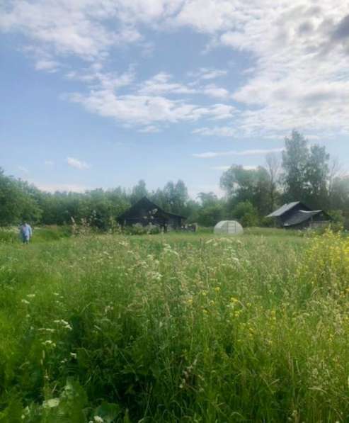 Эксклюзив! Земельный участок в заповеднике Завидово! в Москве фото 5