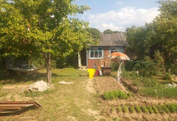 Дача в Ногинске