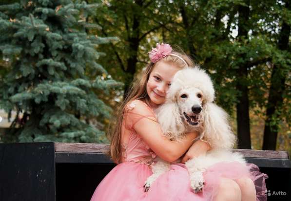 Новогодняя и Рождественская фотосессия с реквизитом в Москве фото 15