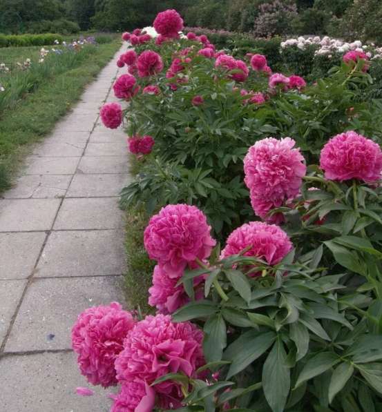 Меняем двушку на две отдельные квартиры в Узловой фото 19