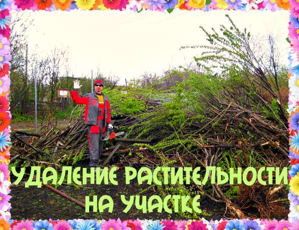 Спиливание деревьев и корчевание пней. Расчистка участка в Воронеже фото 12