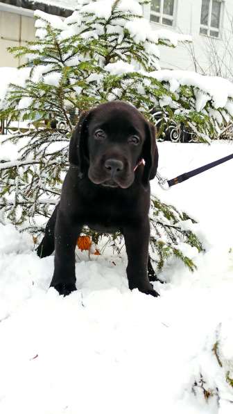 Алиментный мальчик в Москве фото 7