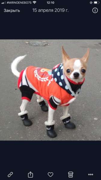 ВЯЗКА ВЕС 1,450 в Москве фото 7