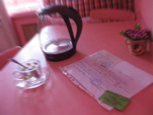 Хозяин! 1 ком. на Стрелке в фото 18