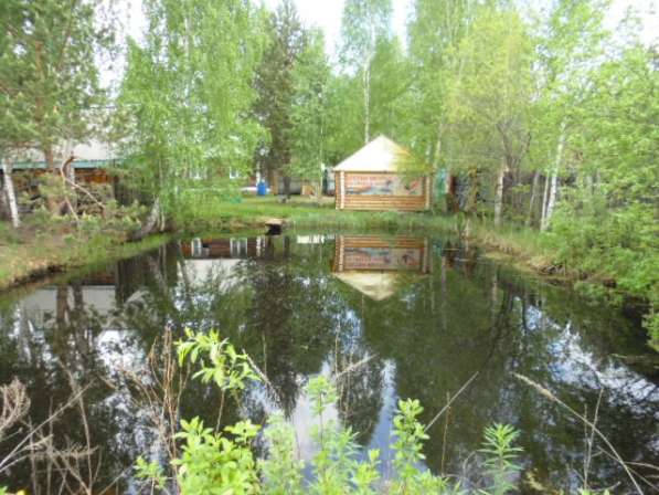 Продам земельный участок 14 соток в Екатеринбурге фото 6