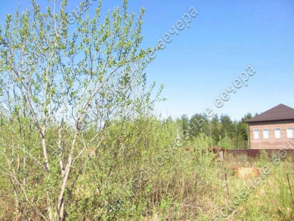 realty_mapper3.plot_in_locationСадовое некоммерческое тов-во. Площадь 6.00 сот.Есть Электричество. в Москве фото 3