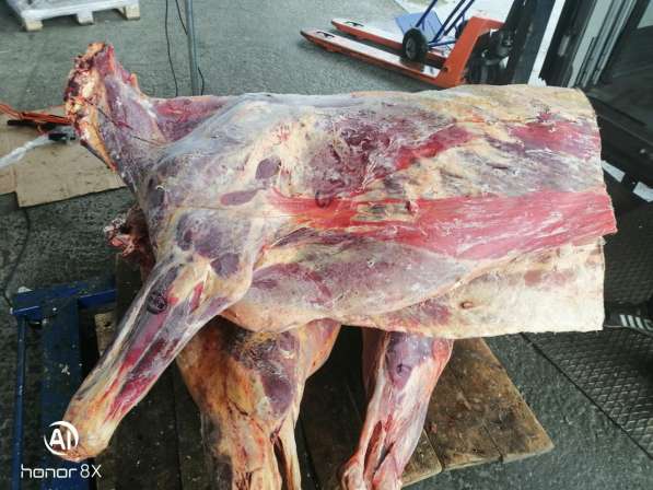 Мясо говядина в Екатеринбурге фото 6