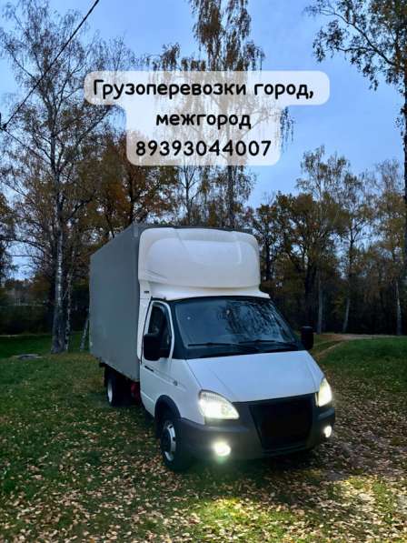 Грузоперевозки