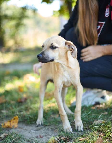 Маленький, трогательный малыш в Санкт-Петербурге