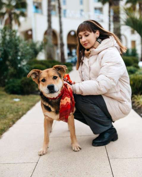 Толстушка ждёт родителей! в Москве фото 9