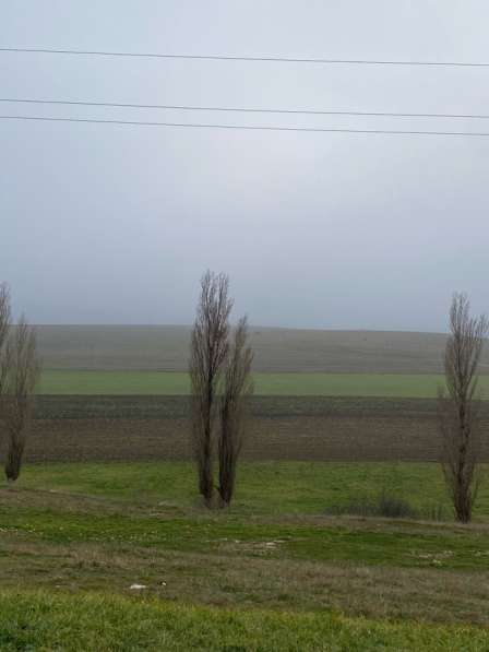Участок 28.1 га в Крымске фото 3