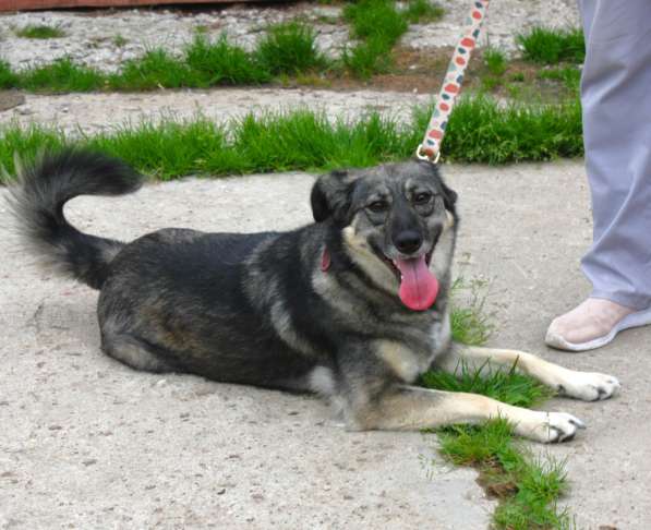 Ласковая, жизнерадостная позитивная Златочка ждет свою семью в Москве фото 3