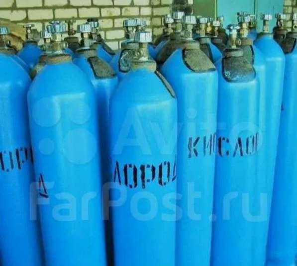 Скупка болонов дорого в Санкт-Петербурге