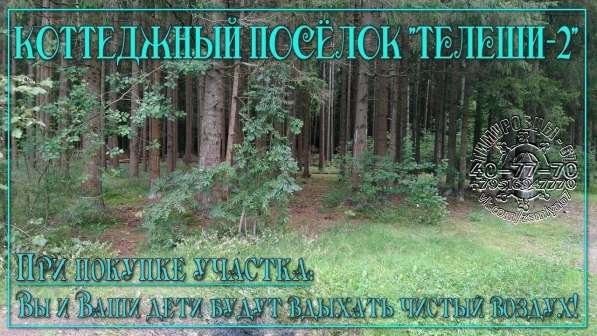Лучшие участки, ИЖС на Смоленщине, с коммуникациями в Смоленске фото 16