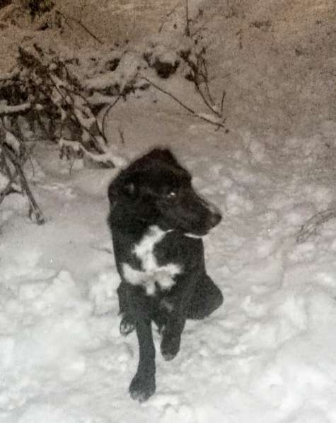 В самые надёжные руки в Саратове фото 10