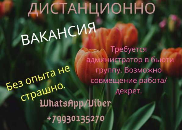Удаленная работа
