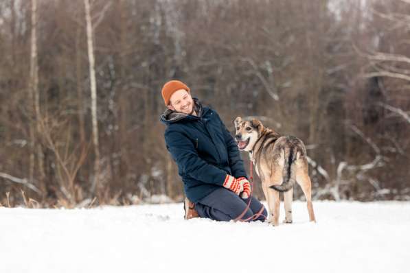 Милый оптимист Джек ищет дом в Москве фото 22