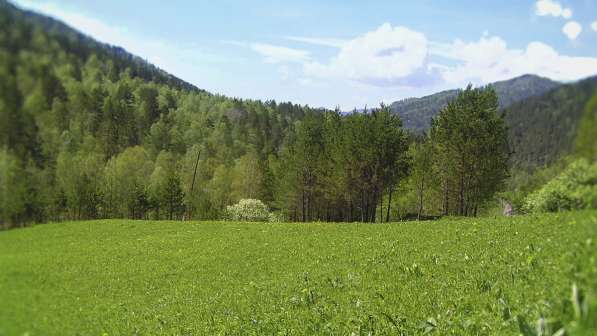 Земельный участок в Горном Алтае 9 гектаров за 5 млн. руб в Горно-Алтайске фото 6