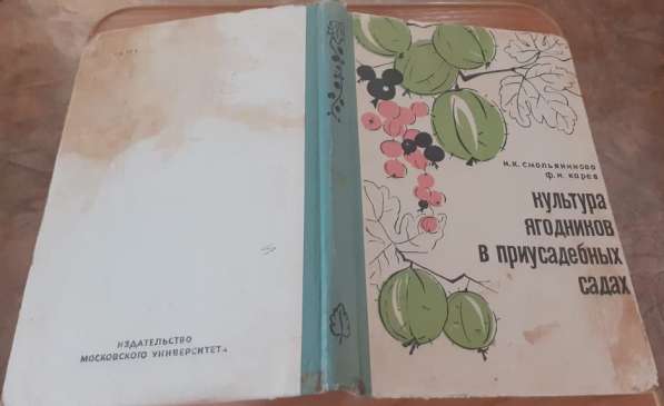 Культура ягодников в приусадебных садах Смольянинова 1966г в фото 3