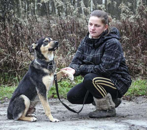 Кузька в Ногинске фото 25