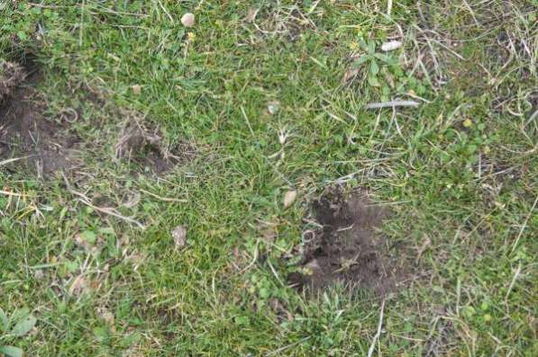 Чернозем. 8 Соток. в Севастополе фото 4