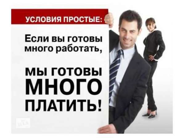 Требуются директора интернет-магазинов в 