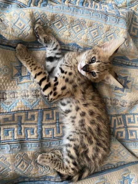 в Москве фото 3