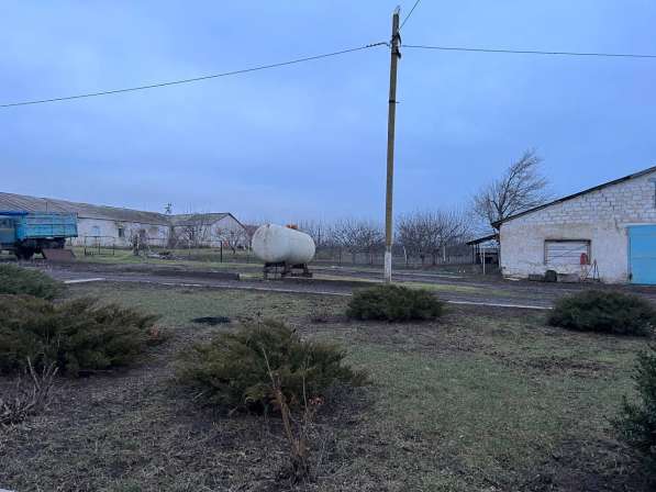 Агроферма 4500 м. кв, Старобешево в фото 4