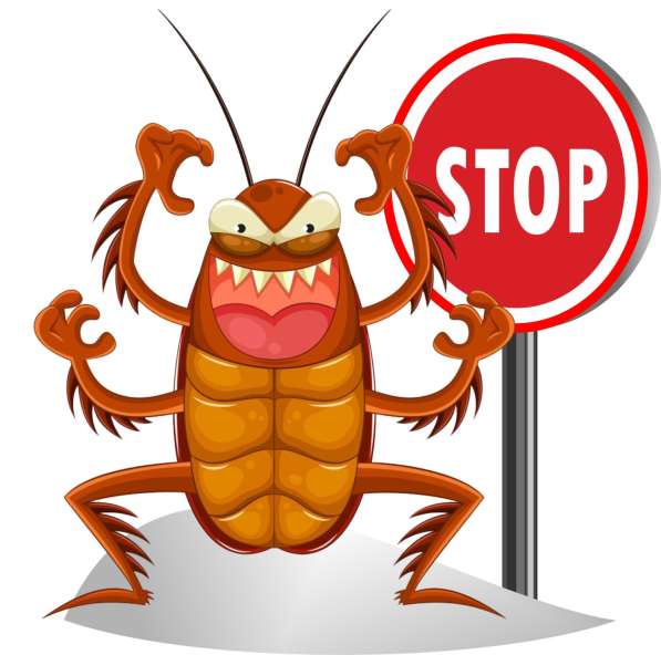 Травлю тараканов. С гарантией до 3 лет. Профессионально в Москве фото 6