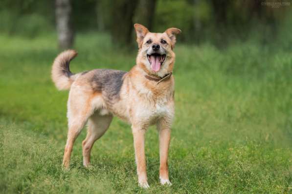 Харизматичный Марк ищет дом в Москве фото 11