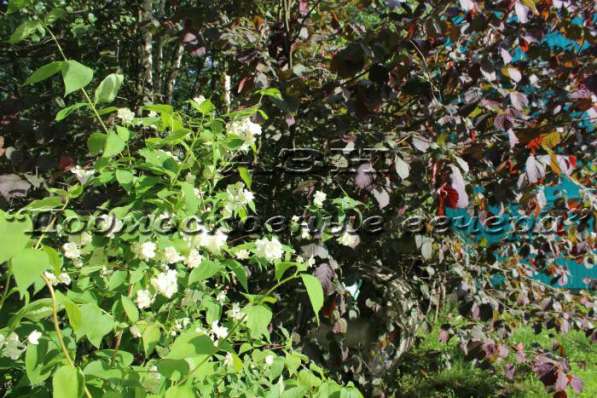 Продам дом в Электрогорск.Жилая площадь 65 кв.м.Есть Электричество. в Электрогорске фото 17