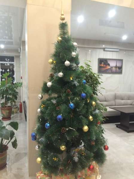 Гостиница в Урюпинск предоставление помещения для фотосессии в Урюпинске фото 24