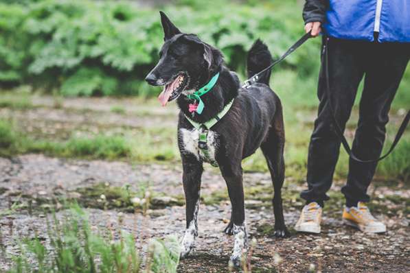 Уникальная Шерри в поисках своего Человека в Москве фото 5