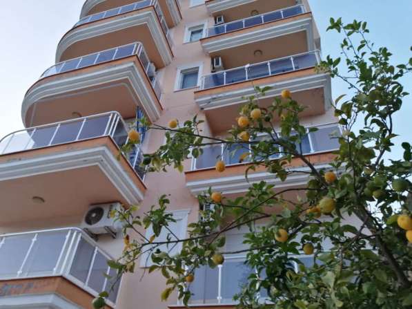 Продается инвестиционная недвижимость Турция Алания в Москве фото 3