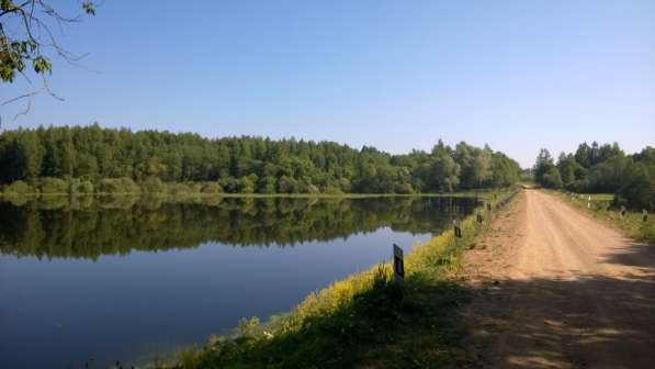 Продаю 10,5га в Гагаринском районе Смоленской области в Гагарине фото 4