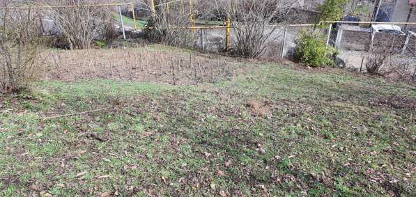 Земля в Сочи в Сочи фото 6