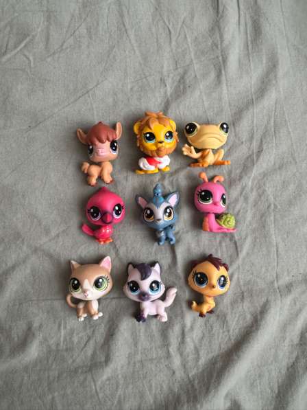 LPS в Рязани фото 3